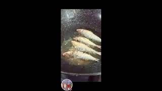 Ann T Mix Vlog is liveLets Fry Fried EggDried FishSatisfyingBreakfast [upl. by Twum579]