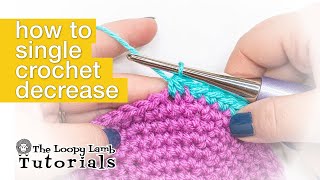 How to Single Crochet Decrease Stitch  Beginners Crochet Stitch Tutorials [upl. by Asoral]