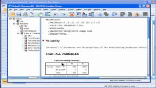 Cronbachs Alpha  SPSS part 1 [upl. by Nosreme]