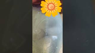 Haakaa and epsom salt hack for cloggedblocked milk ducts  Satisfying  shorts breastfeeding [upl. by Kalil]