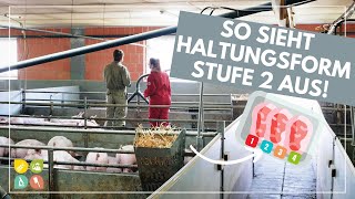 Glori goes Tierwohl  Die Haltungsform hinter dem Fleischlabel  Stufe 2  Stallhaltung Plus [upl. by Roht306]