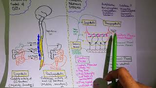 Autonomic control of GIT Chapter 63 part 3 Guyton and Hall Physiology [upl. by Blunt892]