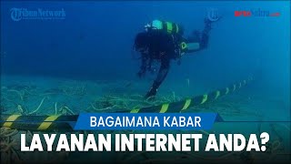 Perbaikan Kabel Laut Jasuka Penyebab IndiHome dan Telkomsel Gangguan Butuh Sebulan Gimana Internet [upl. by Braden]