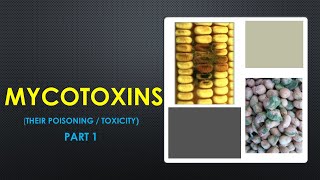 FOOD BORNE ILLNESSES Part 1 MYCOTOXICOSIS mycotoxication [upl. by Aisaim]