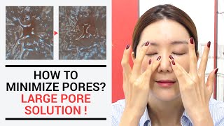 How to Minimize Pores Large Pores Solution  Wishtrend [upl. by Hesler86]