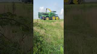 Starting on the headlands 😮‍💨 grassmen silage johndeere newholland trailer views [upl. by Wadsworth312]