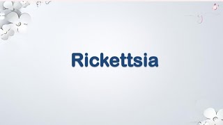 Rickettsia amp Coxiella [upl. by Ri]