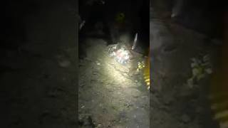 Catching Fish nightspearfishing [upl. by Nhguahs]