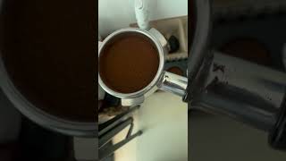 Making a Flat White With the Breville Barista Express coffee flatwhite [upl. by Ayoras]