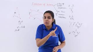 Class 12th  Addition of Vector Overview  Vector Algebra  Tutorials Point [upl. by Kester]