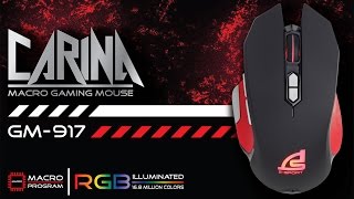 Review SIGNO ESport Macro Gaming Mouse CARINA GM917 รีวิวตัวสินค้า [upl. by Allsopp]