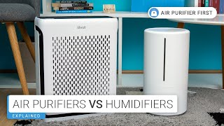 Air Purifiers Vs Humidifiers What’s Best for You [upl. by Landahl]