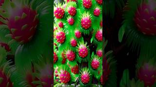 fast easy method for planting and growing dragon fruit trees 99 successful gardening [upl. by Wilbert]