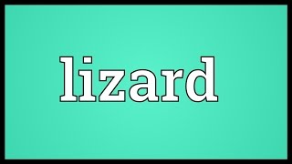 Lizard Meaning [upl. by Favian]