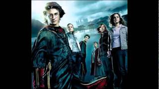 12  Harry In Winter  Harry Potter and The Goblet Of Fire Soundtrack [upl. by Ravo]