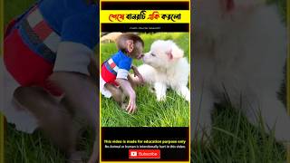 Emotional Story of Cute Dog amp Monkey 😭 bhuter cartoon bangla TBMShortStory shorts dog [upl. by Ben]