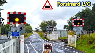 Forsinard Level Crossing Highland [upl. by Auguste863]