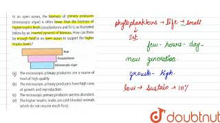 In an open ocean the biomass of primary produceres microscopic algae is often lower [upl. by Liva]