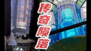 【世界最大水族罐】海洋圣殿生前影像·AquaDom Berlin [upl. by Ddat]