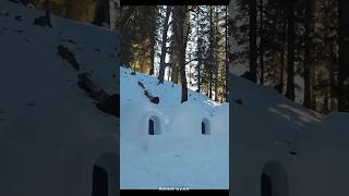 warmth in igloos  How igloo works facts viralvideo [upl. by Ellatsirhc]