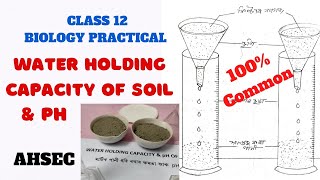 WATER HOLDING CAPACITY amp PH OF SOIL মাটিৰ পানী ধৰি ৰখাৰ ক্ষমতা আৰু PH  BIOLOGY PRACTICAL  AHSEC [upl. by Ynnaf]