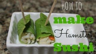 How to make HAMSTER SUSHI [upl. by Llennahc]