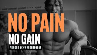 Arnold Schwarzenegger Bodybuilding Training Motivation  2024Best Bodybuilder of All Time  Arnold [upl. by Mabel]