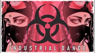 ☣Industrial Dance☣ Hocico  Ecos Move Bastard Mix [upl. by Ettenil]