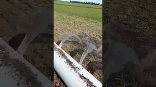 irrigation with hose spray irrigation layflat hose shorts relaxing flower lawn [upl. by Menashem]