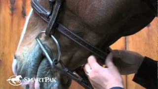 How to Fit a Bridle [upl. by Toft]