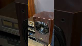 tannoy D100 amthanhbai automobile jblc100si xuhuong [upl. by Novahs]