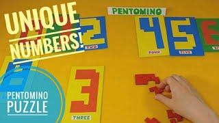 Pentomino Puzzle game Pentominoes solutions [upl. by Anaillil]