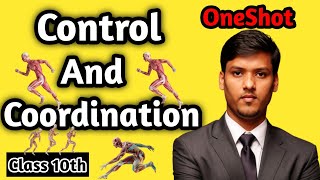 control and coordination class 10 one shot  class 10 biology chapter 2 [upl. by Ahsilav995]