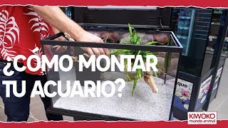 Cómo montar un acuario de agua dulce paso a paso🔧💦 [upl. by Carr]