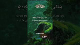 holyquran tilawat surahalbaqarah youtubeshorts foryou [upl. by Blandina320]