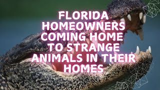 Florida homeowners coming home to strange animals in their homes pspspsp [upl. by Kristina]