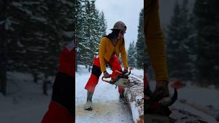 Cutting up more firewood for this winter Do you need help staying warm 😛🔥 wood chainsaw [upl. by Angelika]