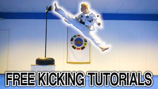 Taekwondo Kicking Tutorials Promo Ginger Ninja Trickster  How to Videos [upl. by Lynn447]