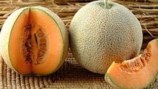 What Are the Health Benefits of Cantaloupe [upl. by Basir]