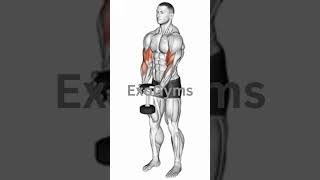 quotMaximize Your Gains Master the Waiter Curlquot ExoGyms [upl. by Rhu]