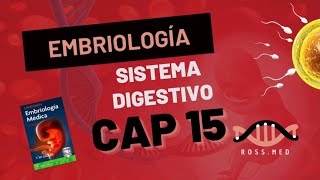 CAP 15SISTEMA DIGESTIVOEMBRIOLOGÍA MÉDICA DE LANGMANRESUMENPODCAST [upl. by Rondi]