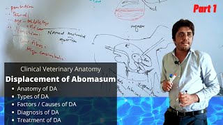 Displacement of Abomasum  Part 13 [upl. by Adnuhsar784]