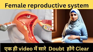 Female Reproductive System in Hindi  Uterus  Ovary Fallopian Tube  Vagina  Hymen Labia Majora [upl. by Aduh129]