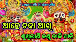 Chaka Akhi Ahe Chaka Akhi  Jagannath Bhajan Odia Dinabandhu [upl. by Ahsenom]