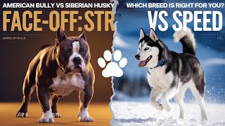 American Bully vs Siberian Husky  Which One Should You Get  Dog Training Video [upl. by Eelsew620]