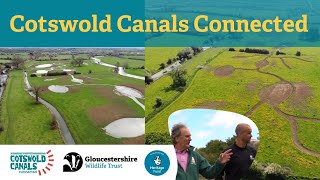 The UK Has Lost 90 of Its Wetlands  Restoring Nature with the Cotswold Canals Connected Project [upl. by Landa615]