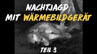 Nachtschicht Jagd mit der Wärmebildkamera 3 [upl. by Pasahow]