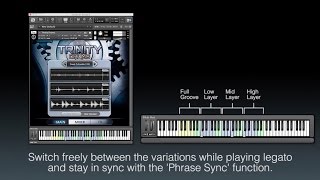 TRINITY DRUMS  Tutorial • Performance [upl. by Aneeras794]