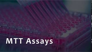 MTT Assay for Cell Viability [upl. by Adnwahsat]