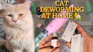 CAT DEWORMING AT HOME  How To Deworm Cats And Kittens  Cat Deworming Made Easy [upl. by Scuram255]